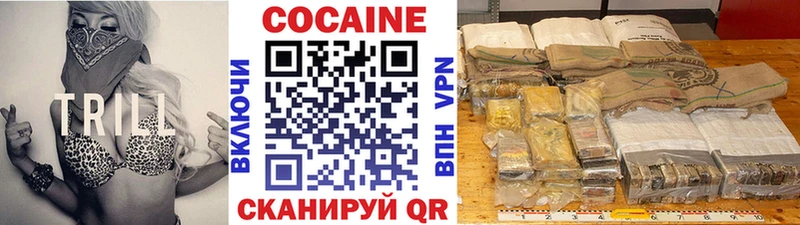COCAIN FishScale  Купить закладки  Волчанск 