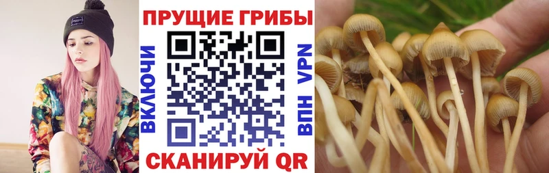 Псилоцибиновые грибы мухоморы  Купить  Волчанск 