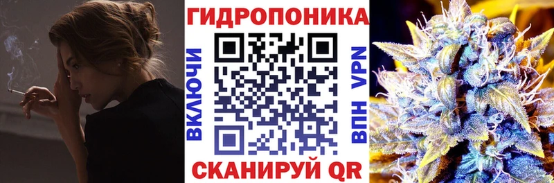 Конопля сатива  Купить где  Волчанск 